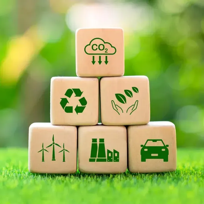 Carbon Footprint image description