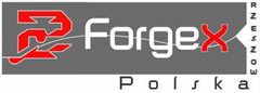 ForgeX Polska logo